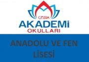 Gaziantep Özel Çözüm Akademi Anadolu ve Fen Lisesi