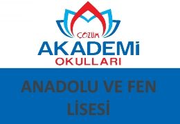 Gaziantep Özel Çözüm Akademi Anadolu ve Fen Lisesi