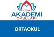 Gaziantep Özel Çözüm Akademi Ortaokulu