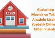 Gaziantep Meslek ve Teknik Anadolu Liseleri Yüzdelik Dilimleri, Taban Puanları